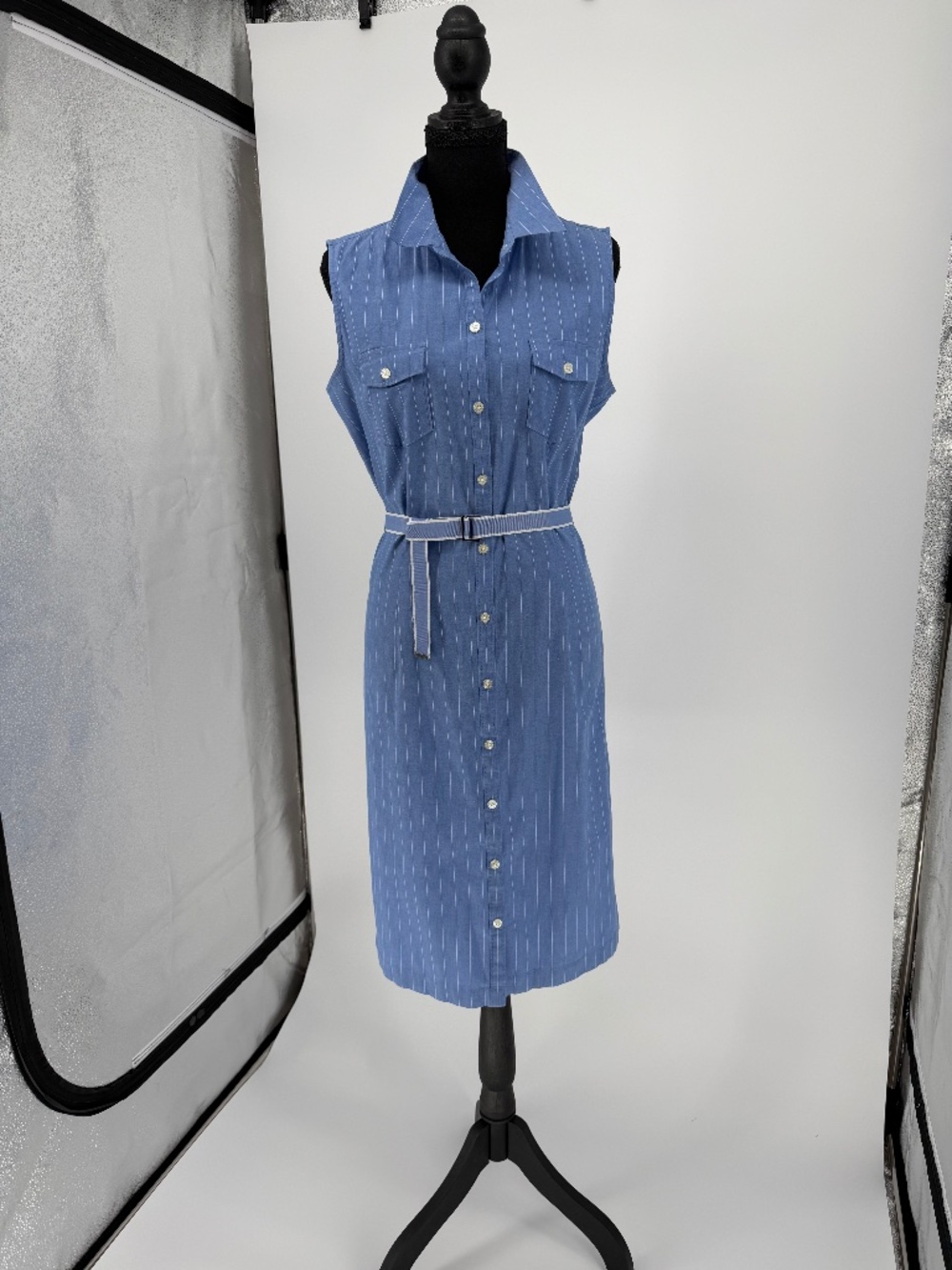 Ann Taylor Blue White Pinstripe Sleeveless Button Front Shirt Dress 12 - Picture 5 of 12